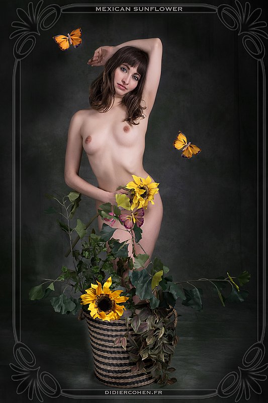 Femmes Fleurs: Mexican Sunflower